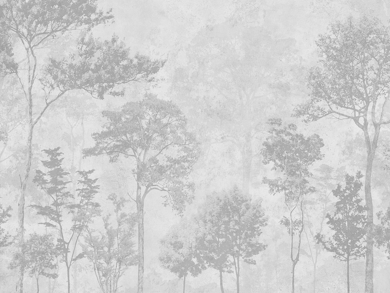 Serene Forest