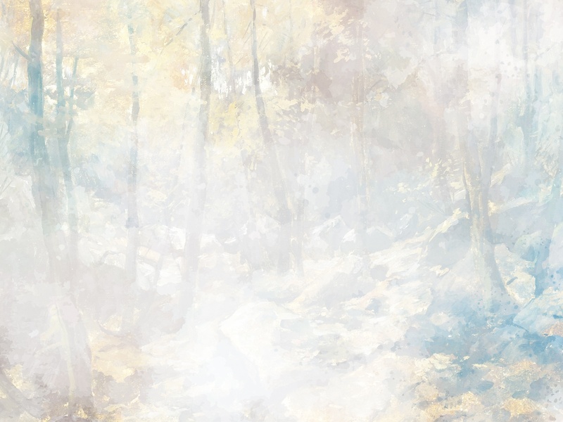 Mystical Forest 2