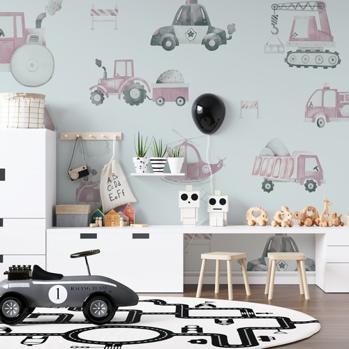 Playful Vehicles